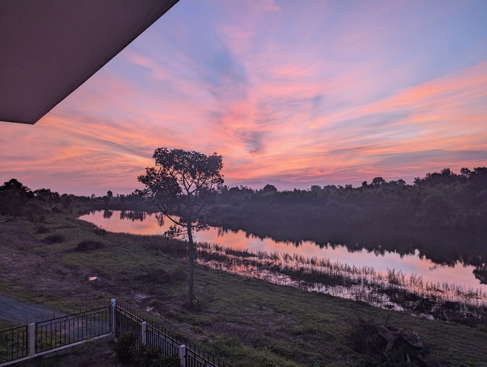 View from property