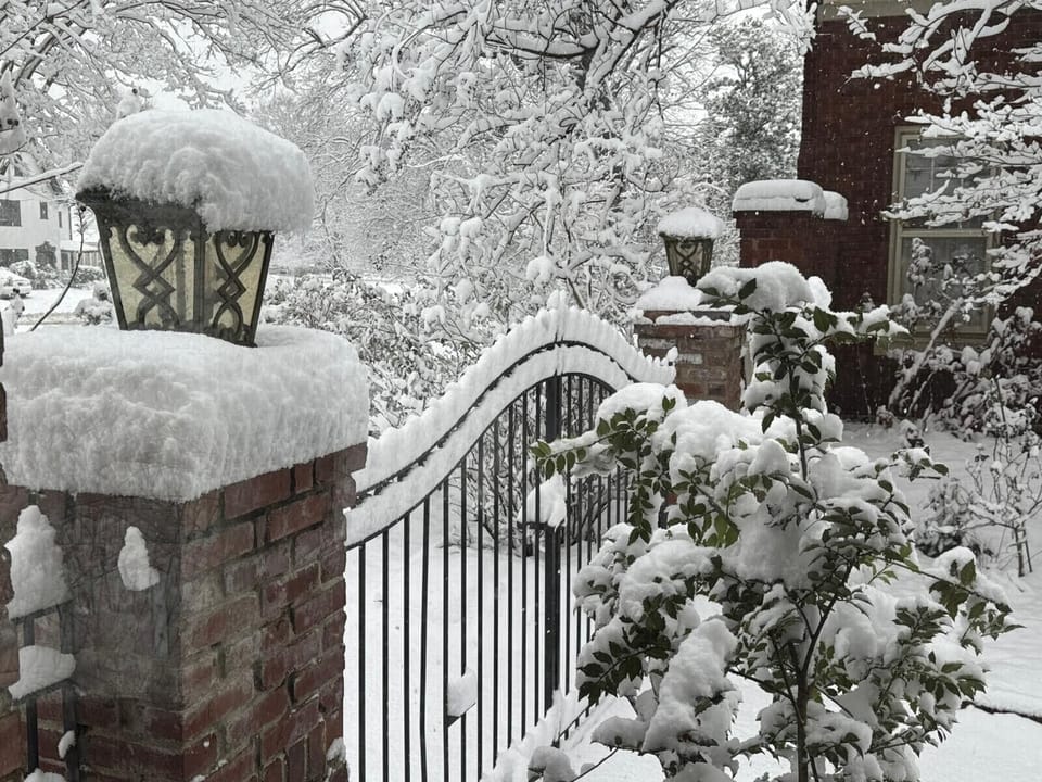 Winter in Memphis