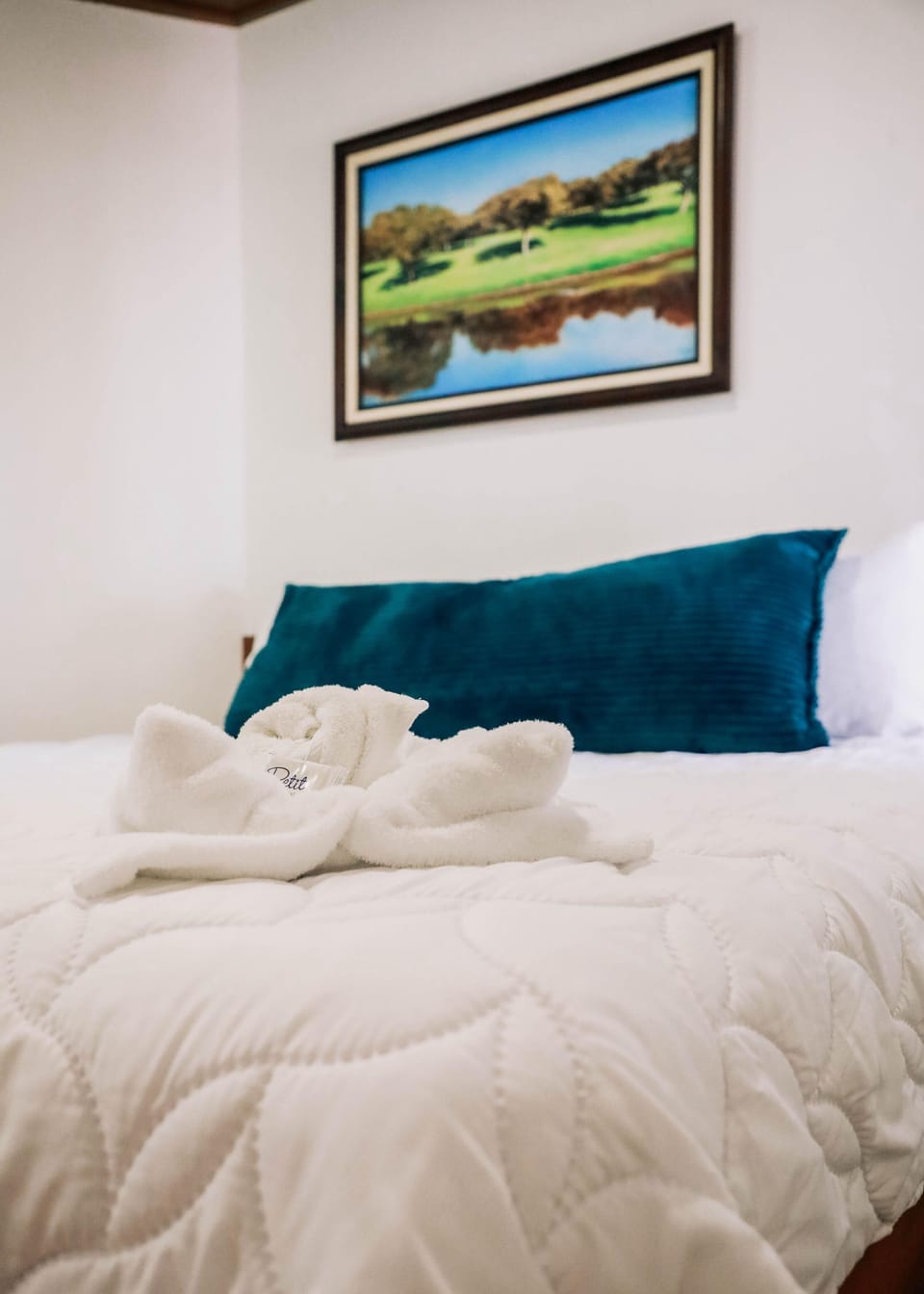 Deluxe Room, Air conditioning, Garden View | Free WiFi