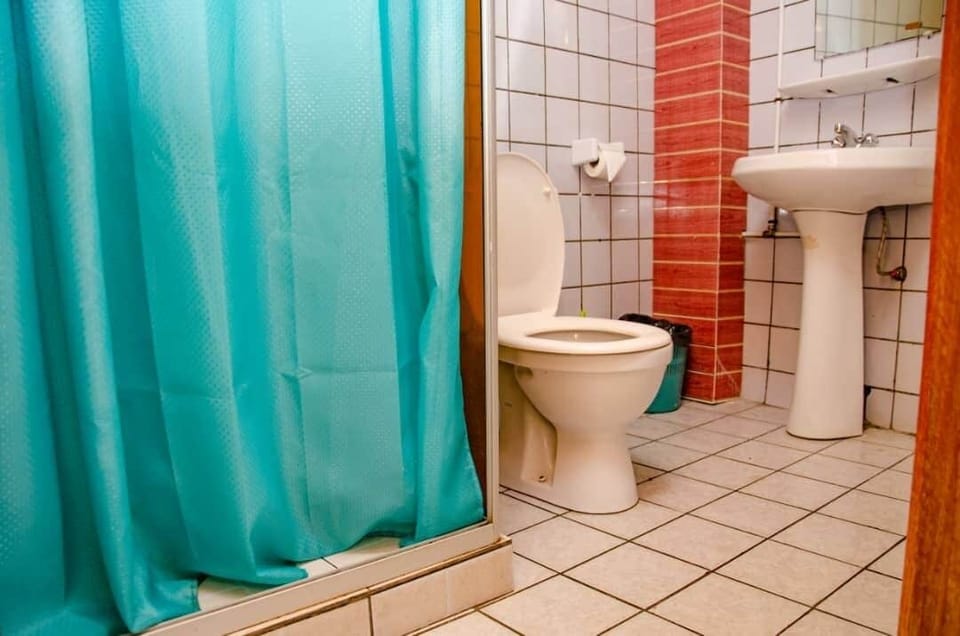 Standard Room, City View | Bathroom | Shower, towels, soap, toilet paper