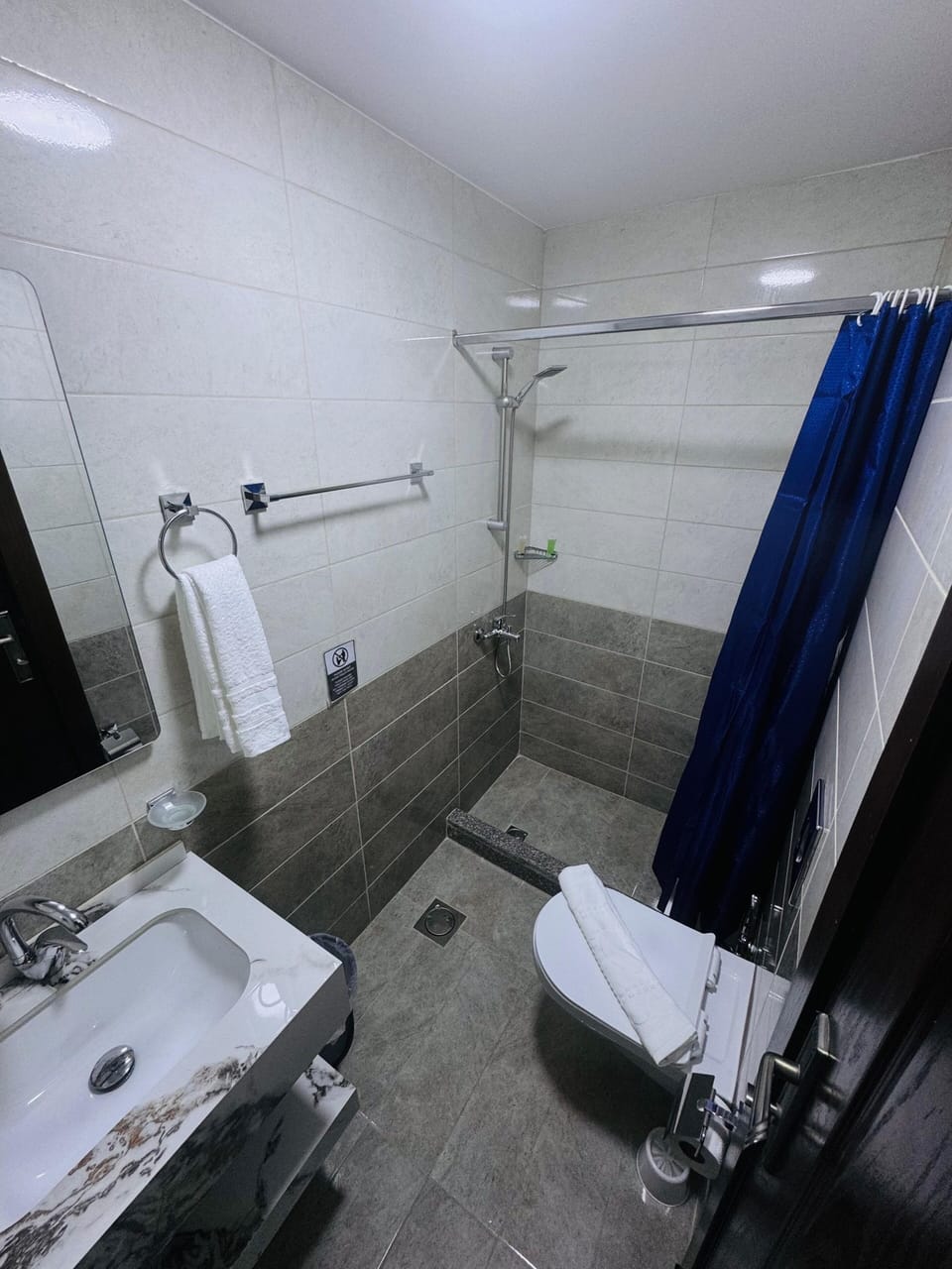 Separate tub and shower, hair dryer, bidet, towels
