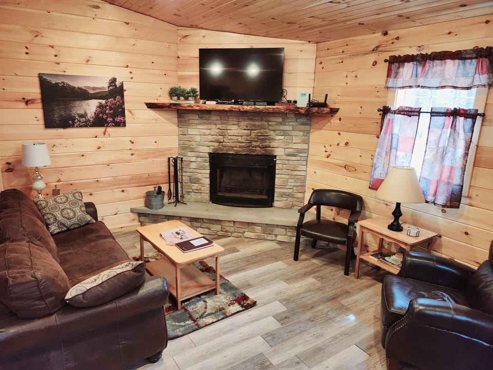 Cabin Living Room