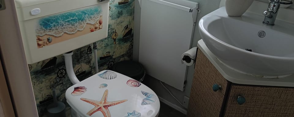 shower plus toilet 