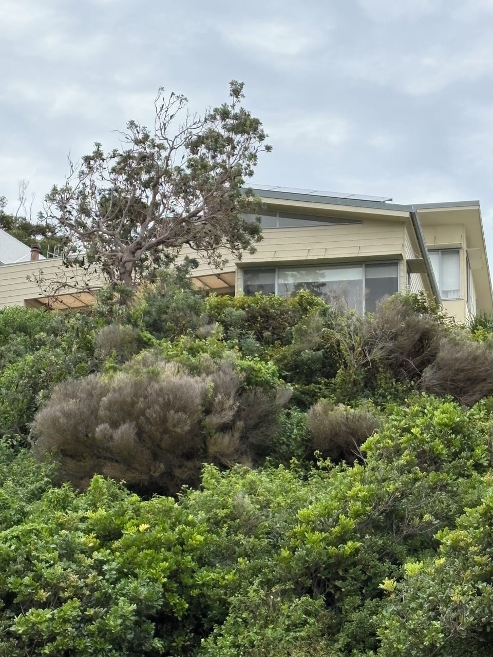 Exterior detail
