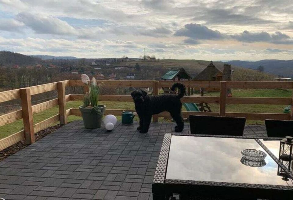 Patio / Balcony