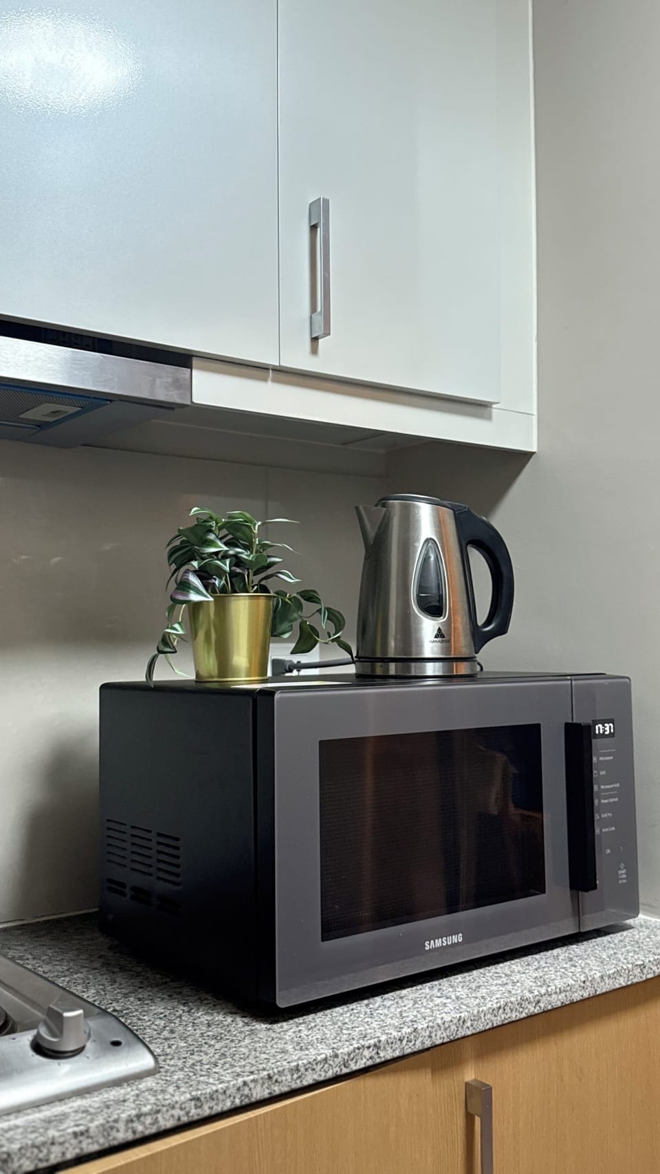 Apartment, City View | Room amenity