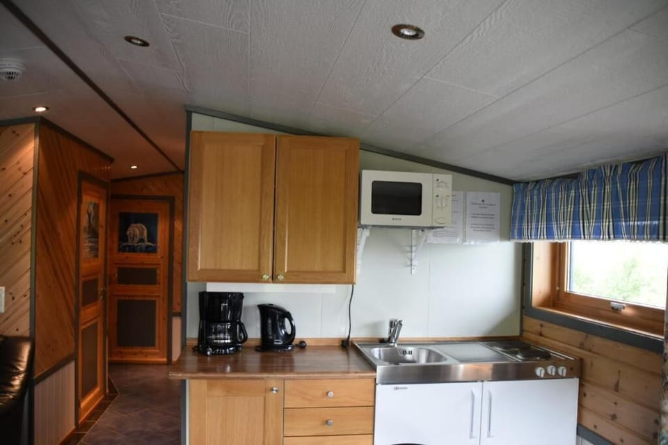 Family Cabin, 3 Bedrooms, Mountain View | Private kitchen | Coffee/tea maker, cleaning supplies