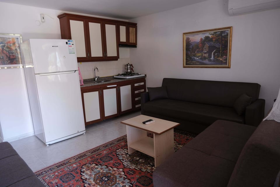 Basic Apartment | Living area