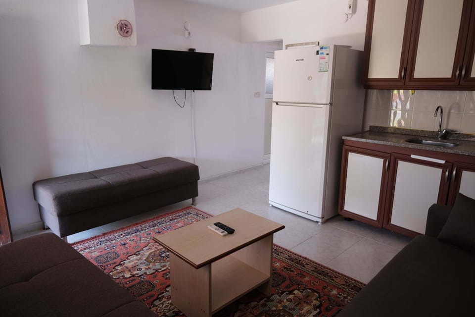 Basic Apartment | Living area
