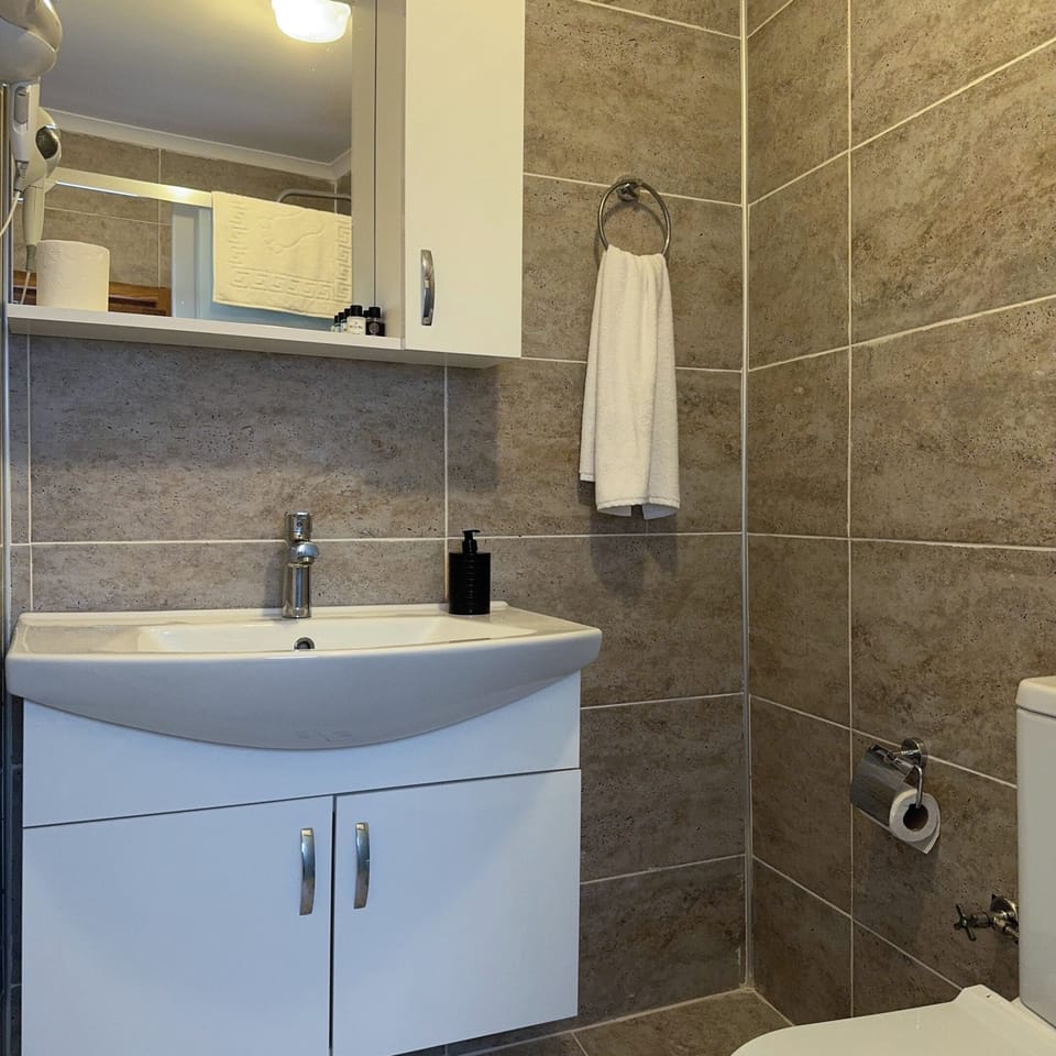 Standard Room | Bathroom | Shower, hair dryer, slippers, towels