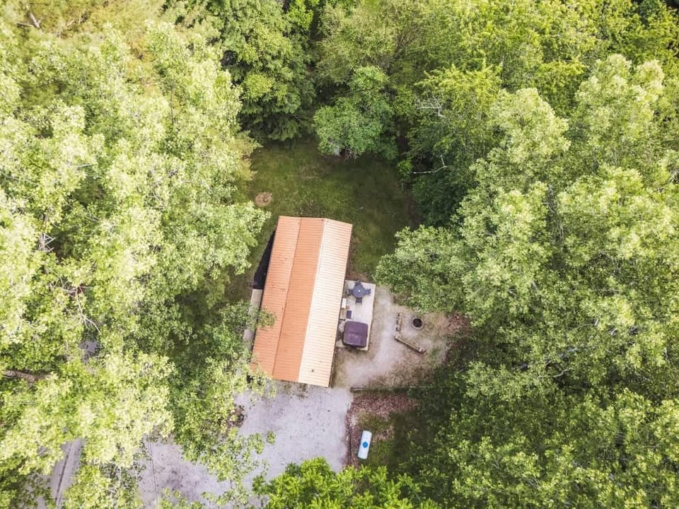 Aerial view of the secluded log cabin tucked among tall trees, offering a peaceful woodland retreat