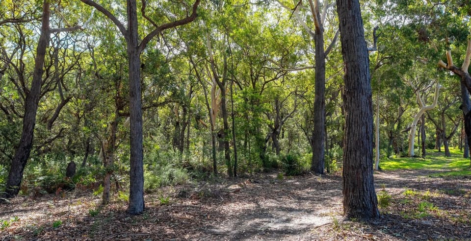 Coastal Crush | 3km to Silkwood Walk