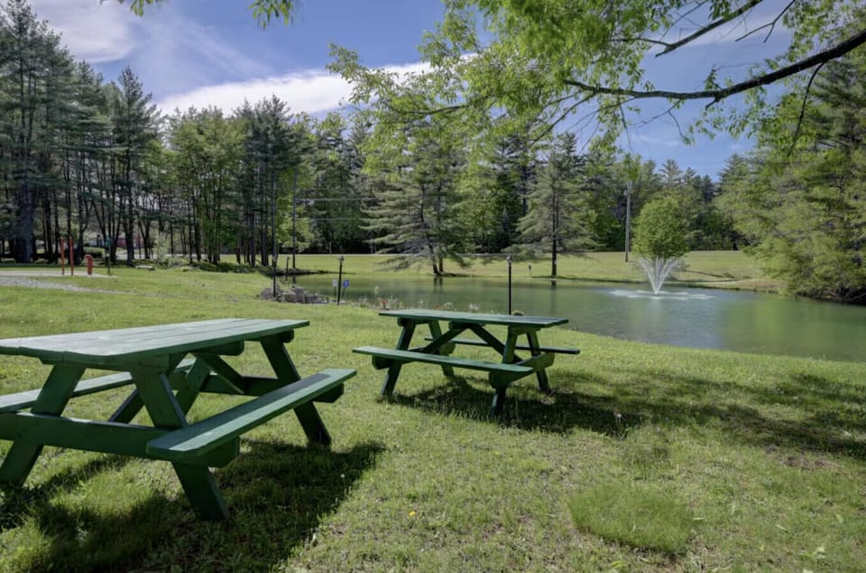 Lawn area and pond at our resort