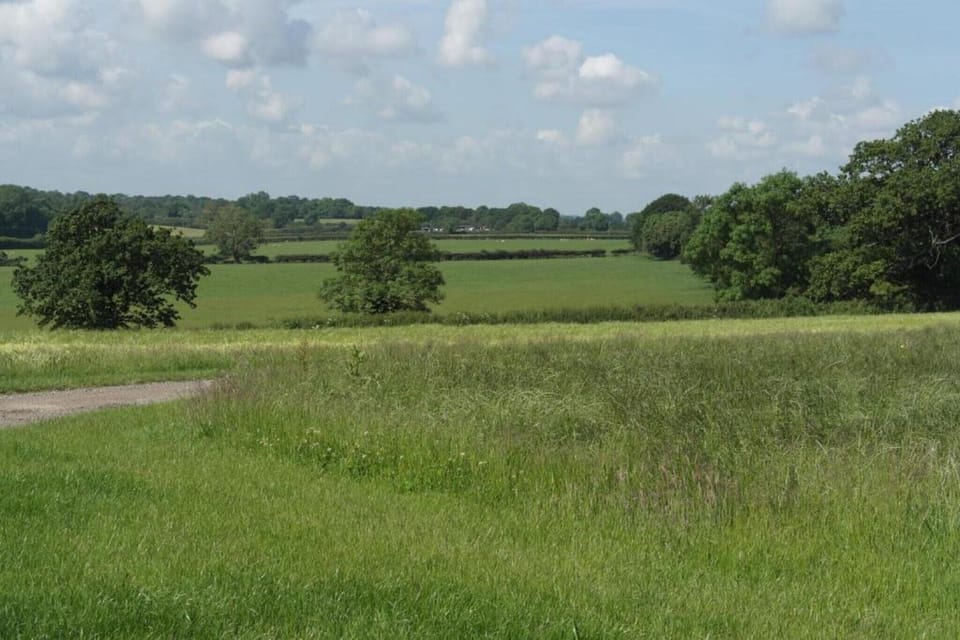 Region [summer] (>5 km)