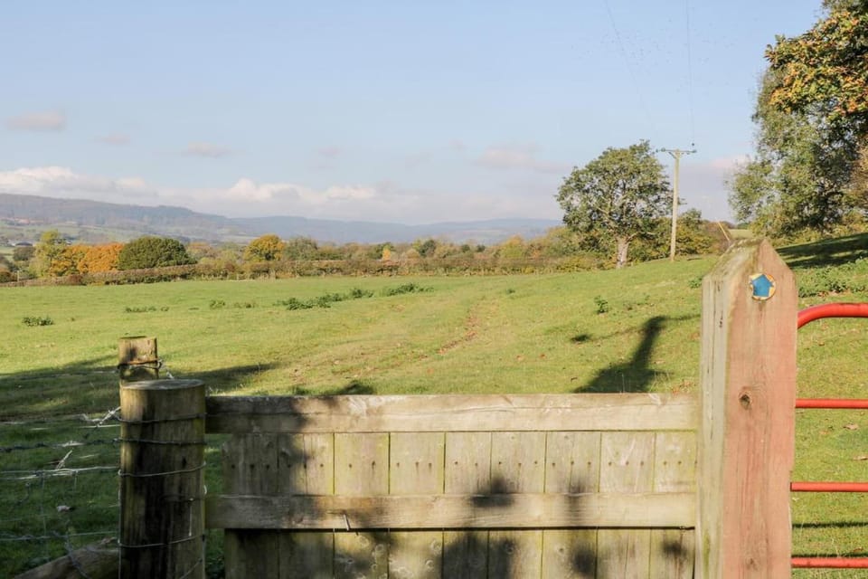 Region [summer] (>5 km)