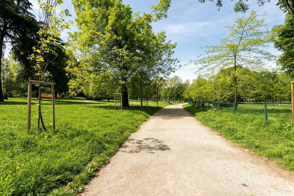 Outdoor, Spring