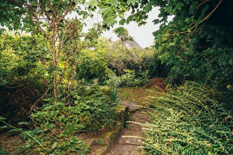 Region [summer] (>5 km)