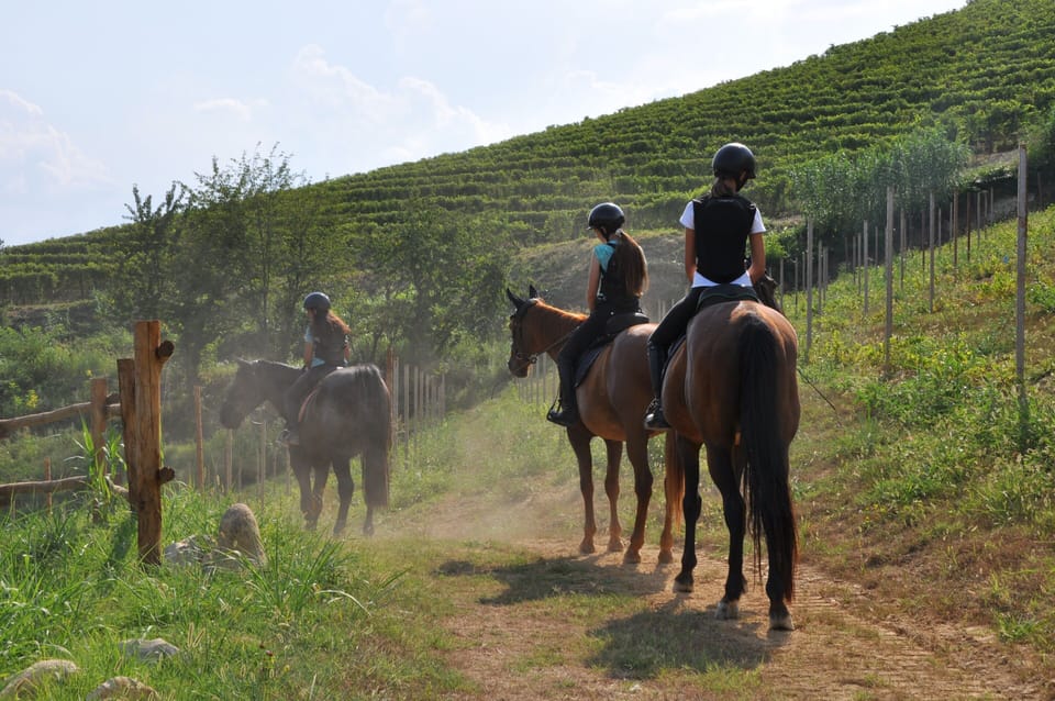 Horseback riding