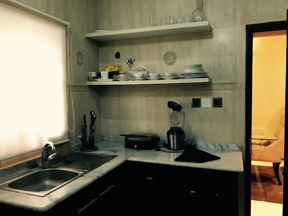 Family Apartment, Balcony, City View | Private kitchen | Fridge, microwave, oven, stovetop