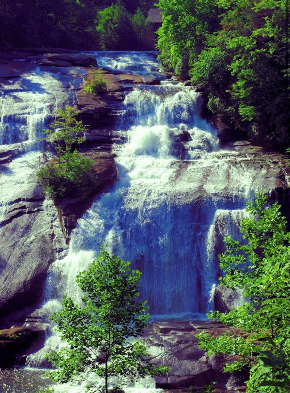 Dupont State Forest- 25 minutes away