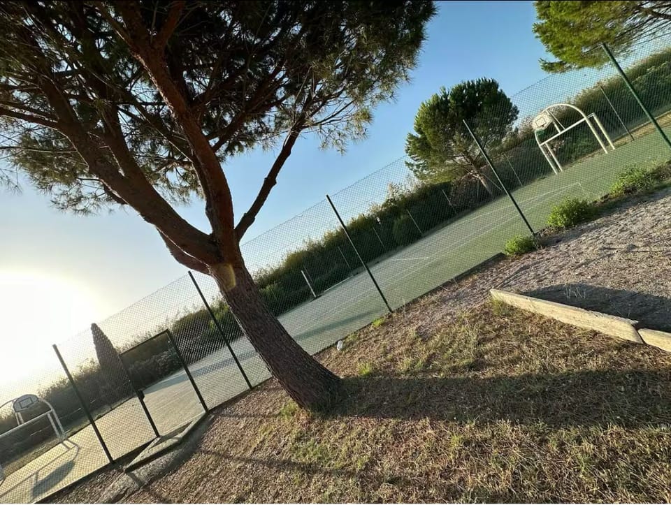 Sport court