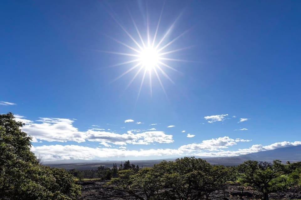 Blue skies and sunshine bathe the lava fields and trees in warm light, perfect for morning coffee.

