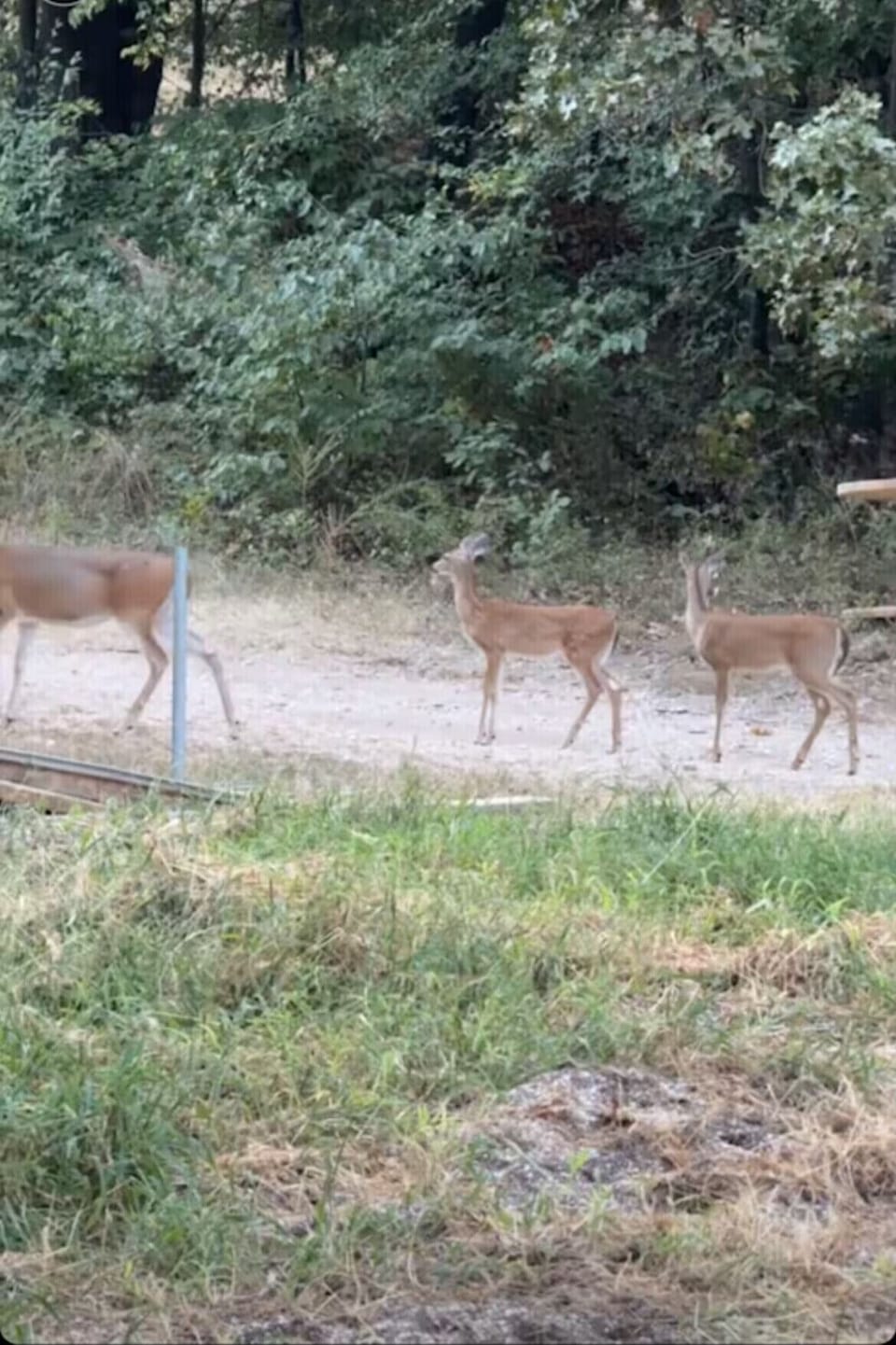 Visitors in the evening living area
