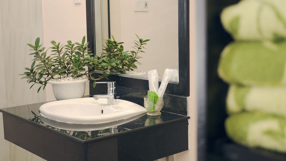 Shower, free toiletries, hair dryer, slippers