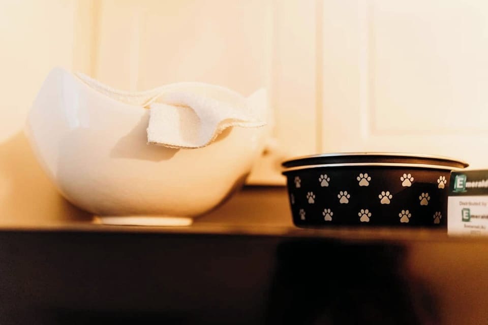 We love welcoming furry companions! This pet-friendly studio includes essentials like a water and food bowl, so your four-legged friend can feel right at home from the moment you arrive.