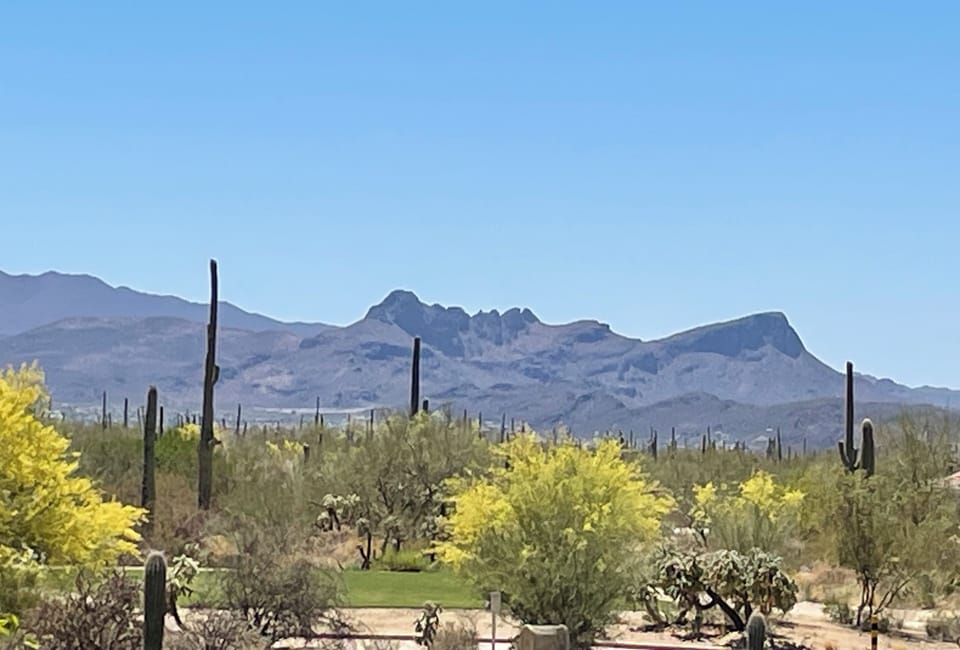 View of Saguaro National Park West from the front porch.