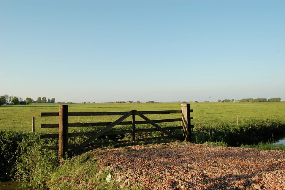 Immediate Surroundings [summer] (<1 km)