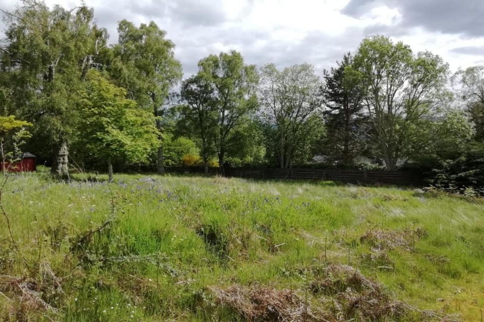 Surroundings [summer] (1-5 km)
