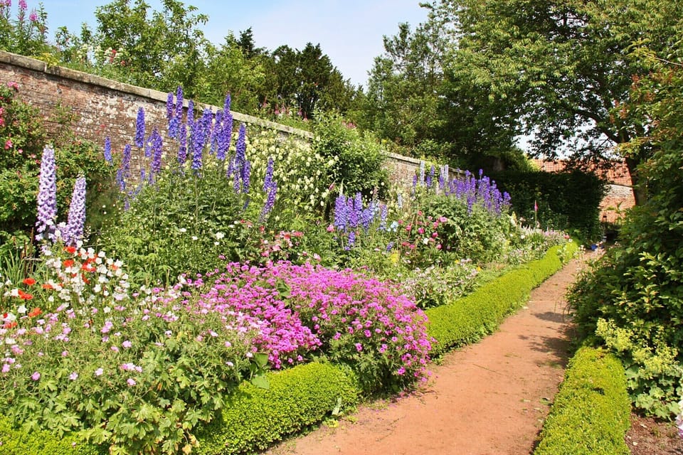 Garden [summer]