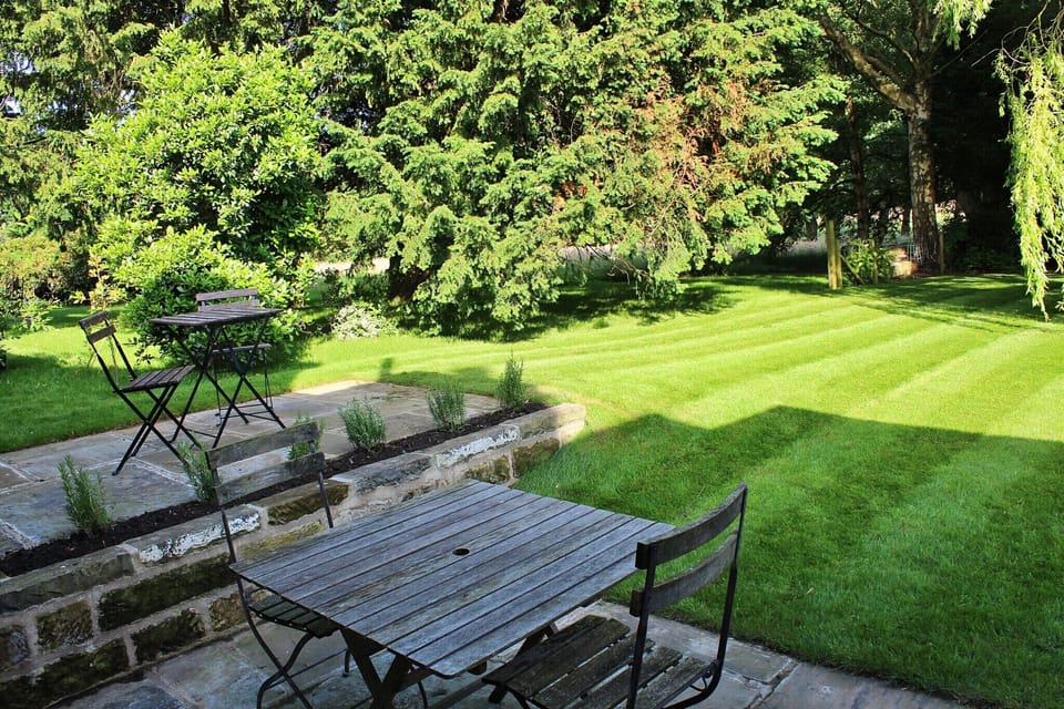 Garden [summer]