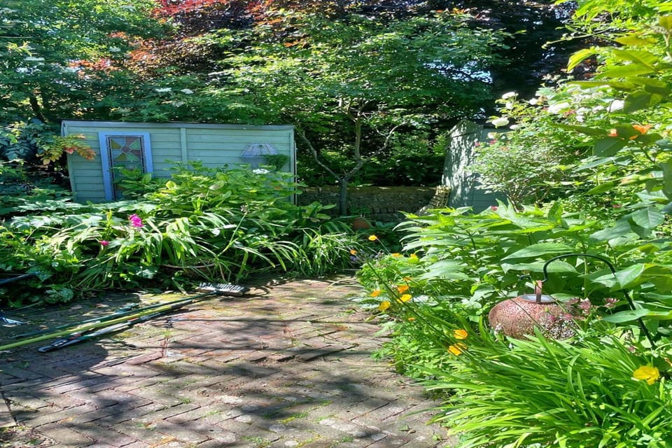 Garden [summer]