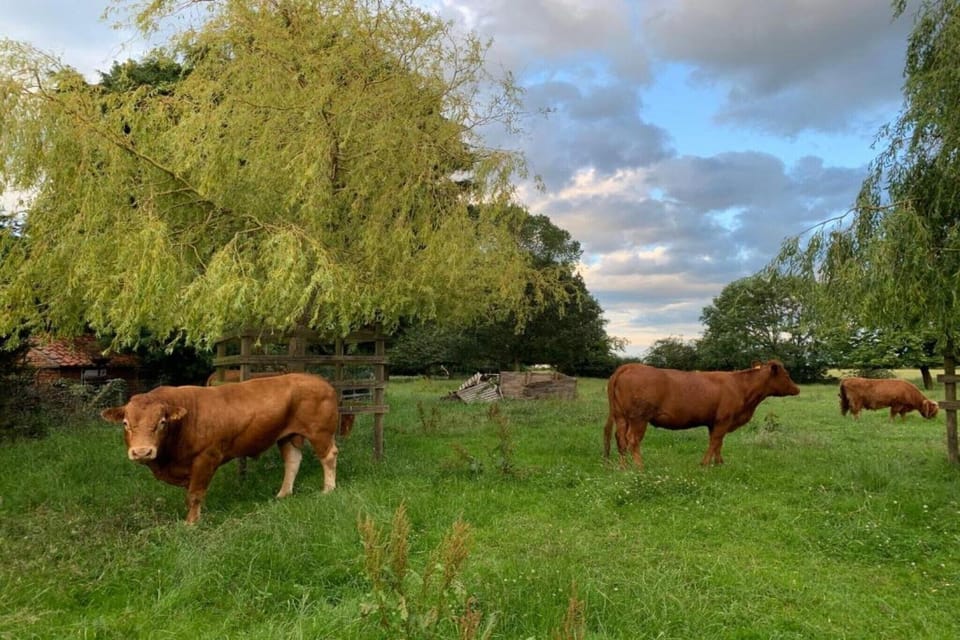 Surroundings [summer] (1-5 km)