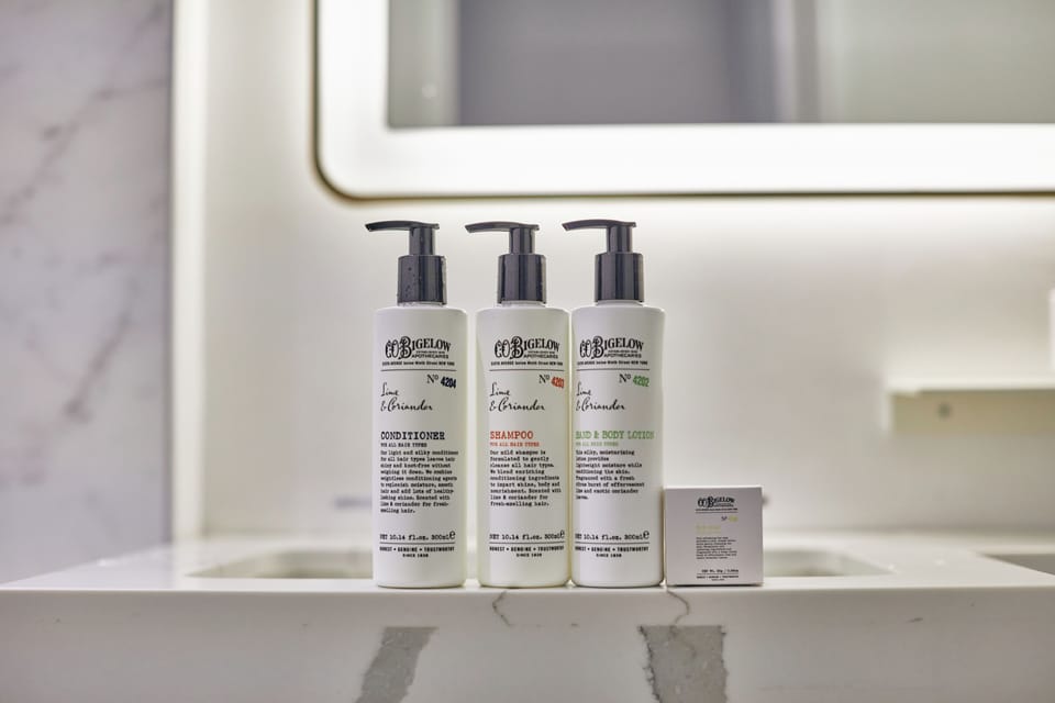Hair dryer, towels, soap, shampoo