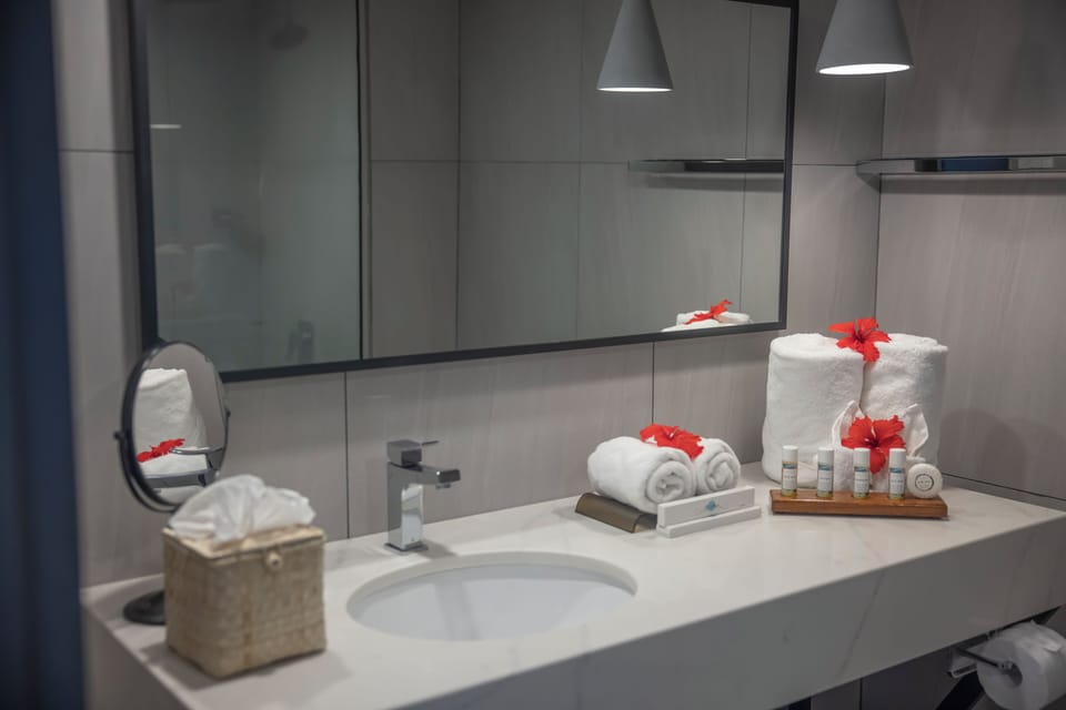 Shower, designer toiletries, hair dryer, towels