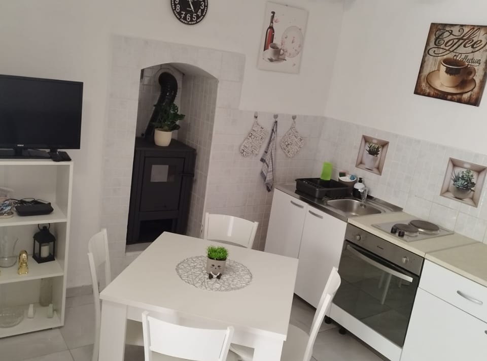 Apartment (Two Bedroom Apartment Leo Povile) | Private kitchen | Fridge