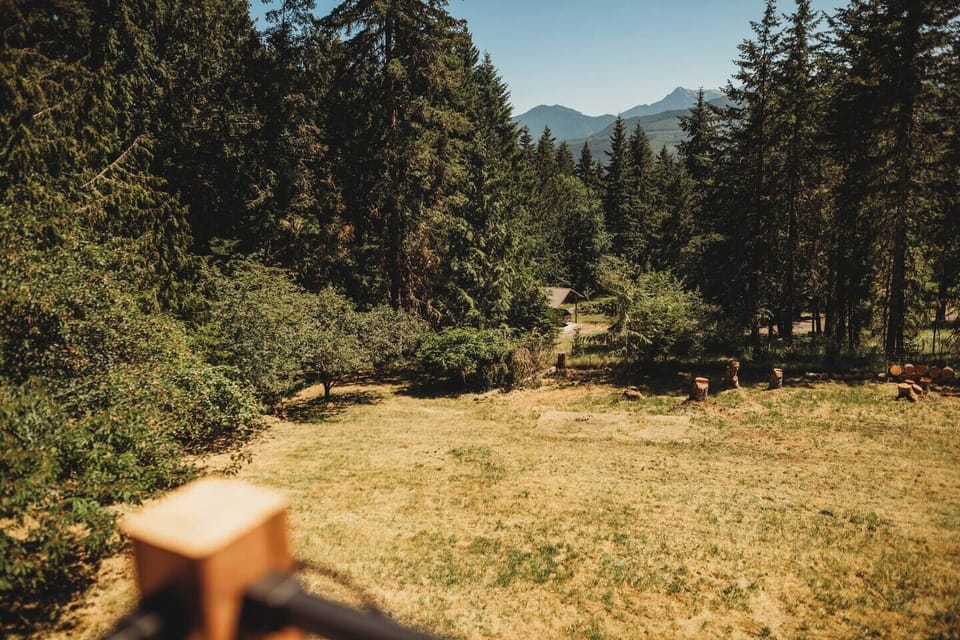 The expansive back yard is a deer haven, filled with apple, cherry, and plum trees for you to enjoy! Soak in the incredible mountain views of Tyler Peak (the pointy one), Peak B, and Baldy on a clear day.