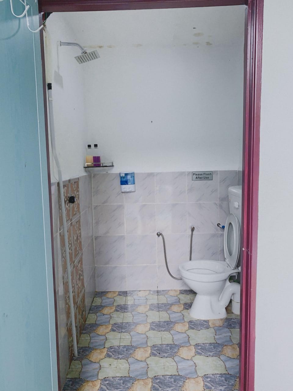 Bidet, towels, toilet paper