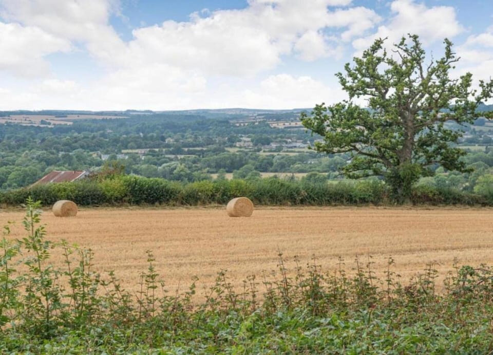 Cottage | View from property
