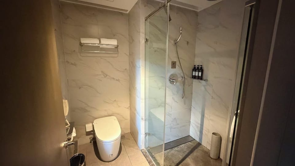 Double Room | Bathroom | Shower, hair dryer, slippers, towels