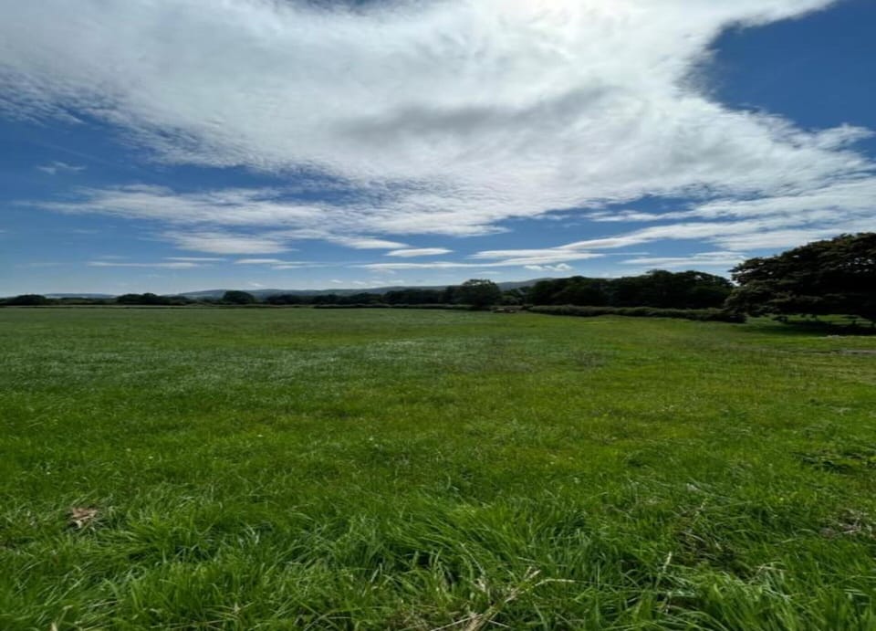 Cottage | View from property