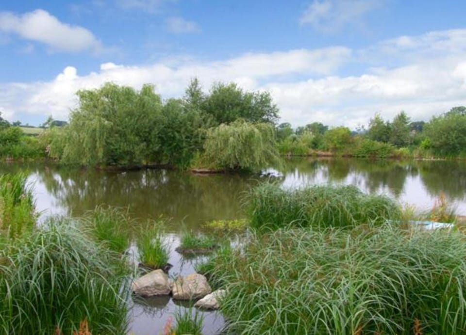 Cottage | View from property