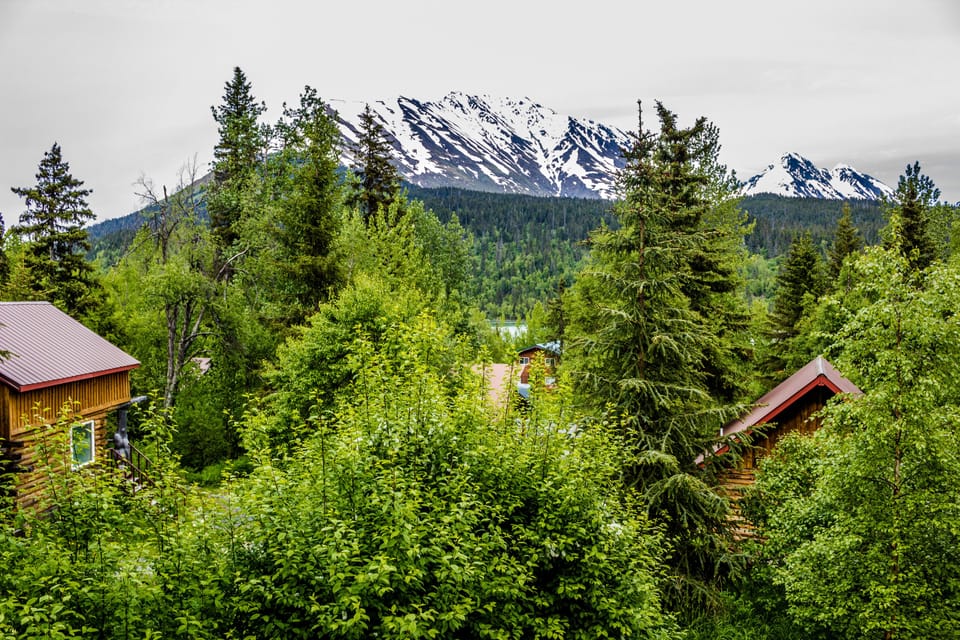 Cabin, Balcony, Mountainside (#2 Baby Bear) | View from room