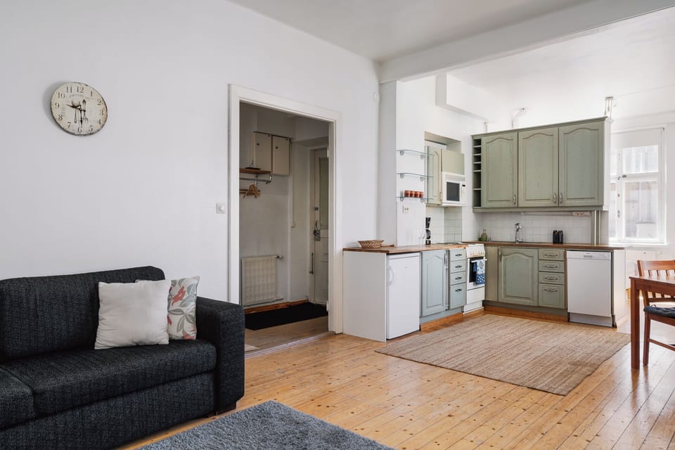 Basic Apartment, City View | 1 bedroom, desk, laptop workspace, iron/ironing board