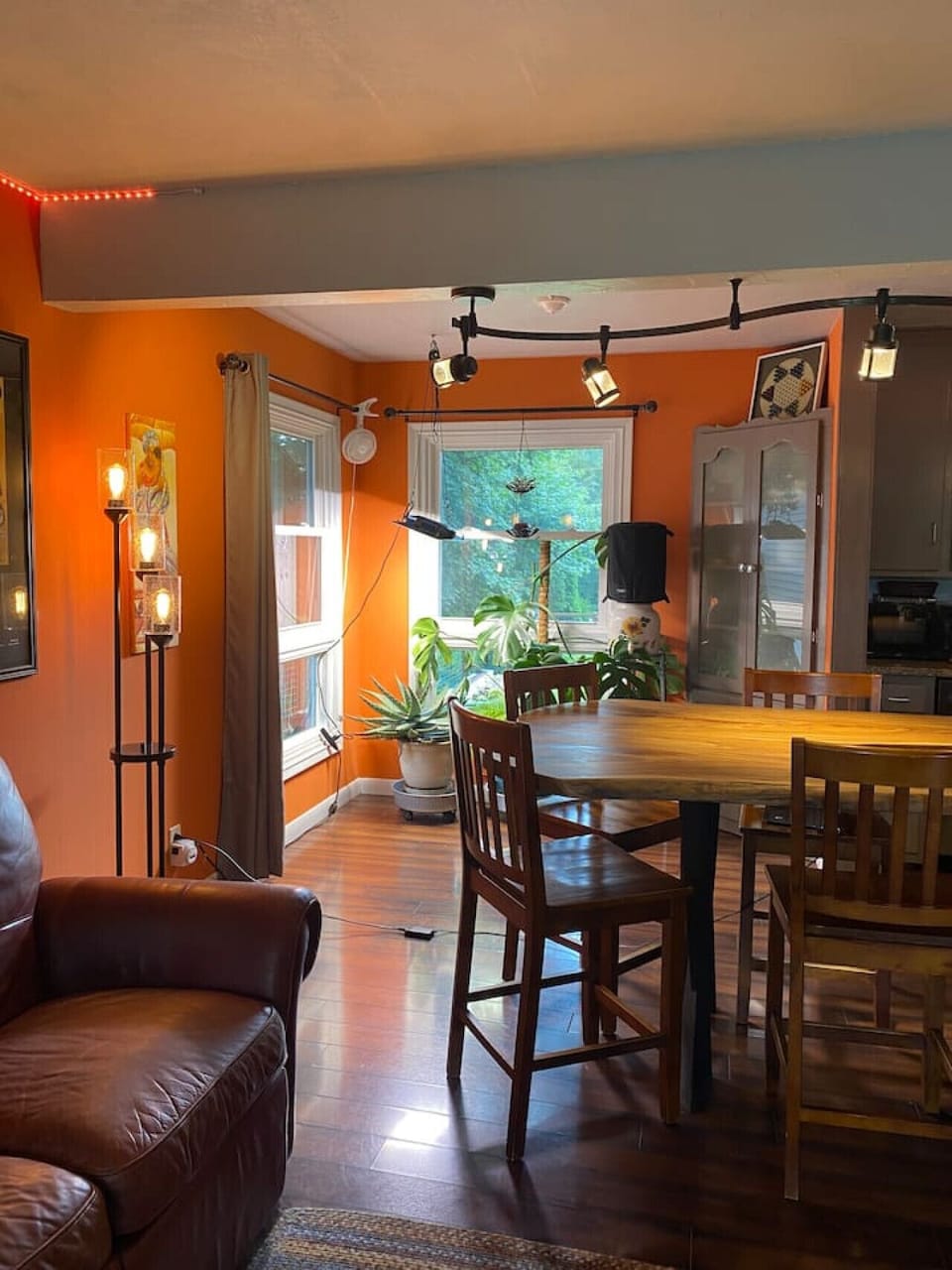 Sunny plant corner and live edge table dining area.