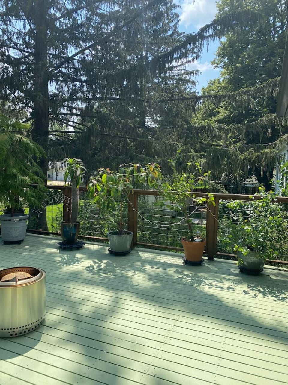 Deck garden spring through fall.