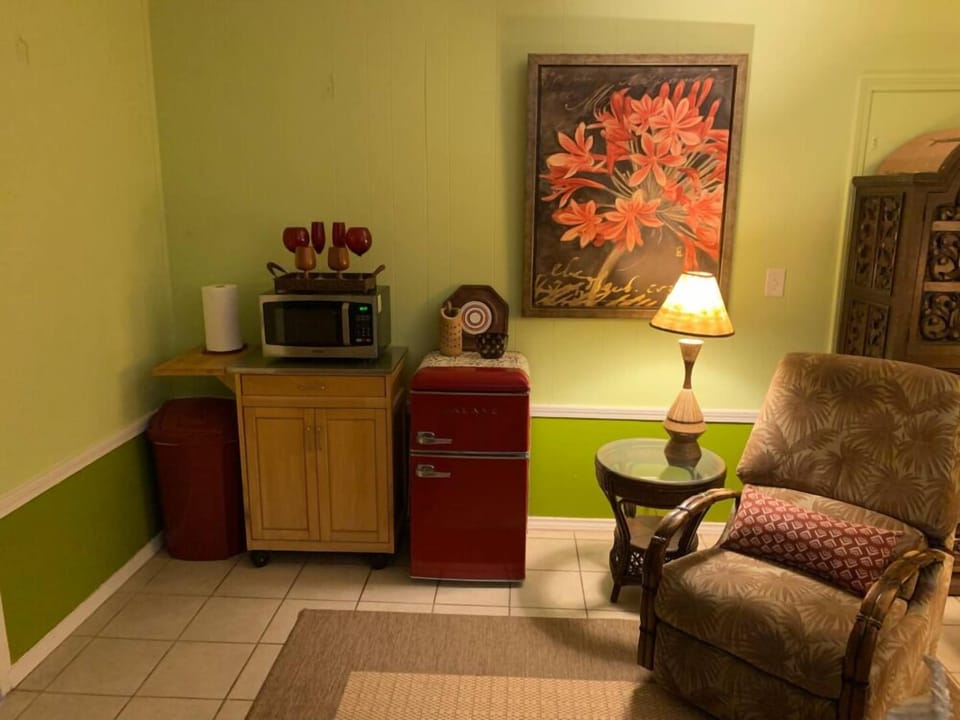 Mini fridge and microwave